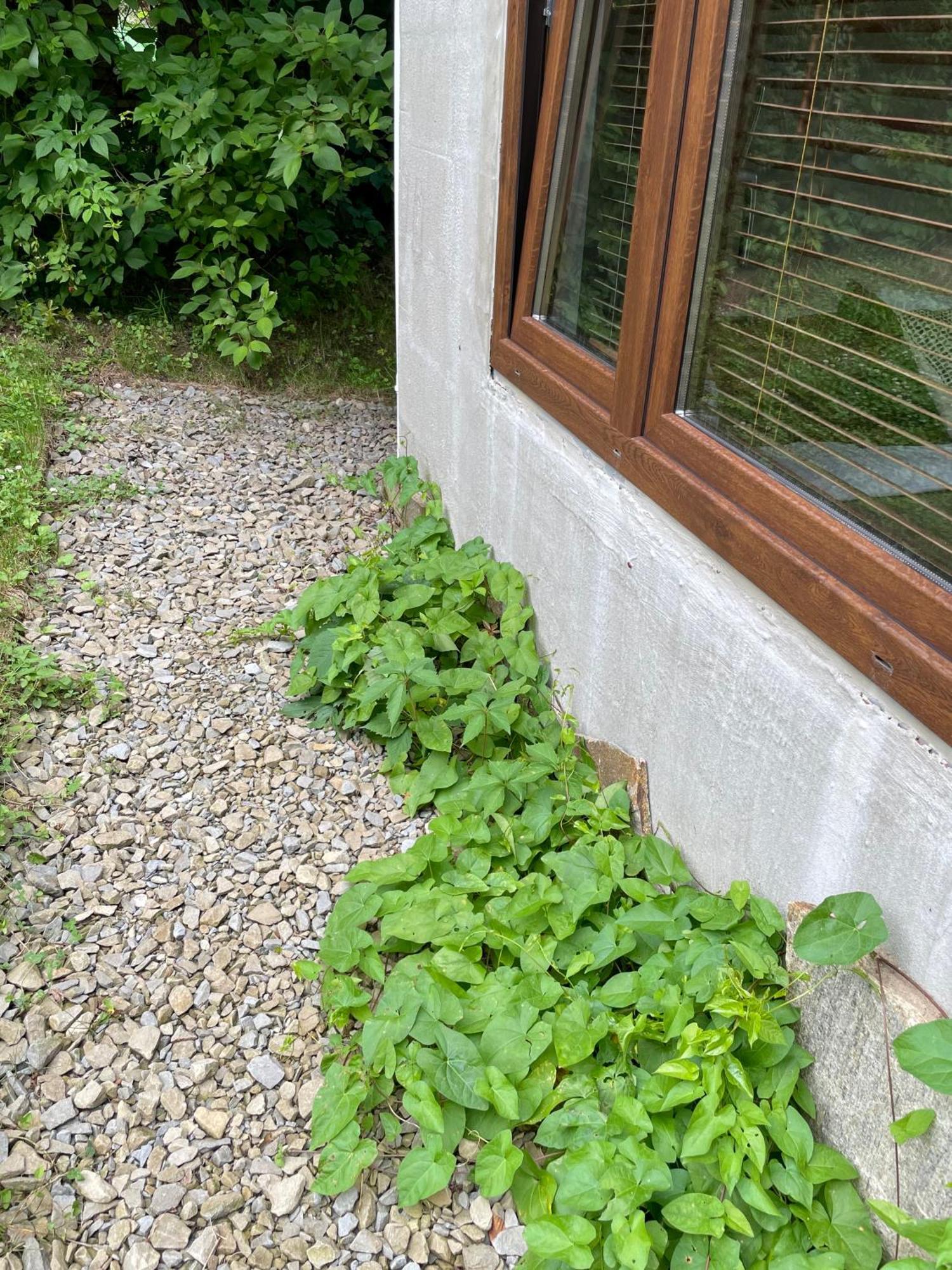 Letnisko Polańczyk Exterior foto